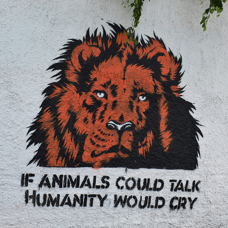 Animal rights matter